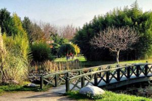 Botanischer Garten Bakirköy Istanbul