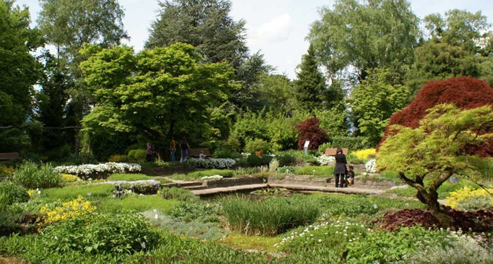 Botanischer Garten Istanbul