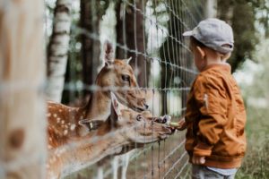 Istanbul Zoo